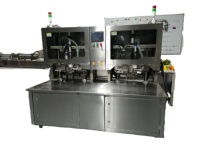 Machine de remplissage Bag-in-Box à double tête, en acier inoxydable 304, pour Ketchup, liquide d'œuf et diverses sauces, utilisation simple