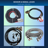 Kabel Jst Xh/sh/zh & Molex 2-6 Pin Kualitas Tinggi Khusus, Pitch 1.0-2.5, Tahan Air Ip66, Konektor Elektronik 12v, Pabrik Merek