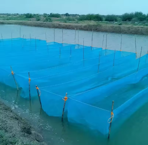 Filets de pêche aquacole de haute qualité en HDPE à mailles carrées de 0,1 mm, 0,5 mm, 1 mm, 3 mm pour la culture de tilapias, de poissons-chats, de jeunes poissons et de alevins - Product Image 6