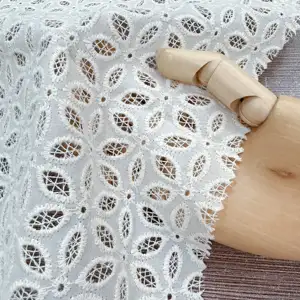 中国テキスタイル布ホワイトアイレット美しい柄100コットンレース刺繍生地ドレス用