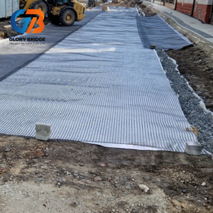 แผ่นตาข่ายโพลีเอสเตอร์/พีพี ความต้านทานแรงดึงสูง Glory Bridge <span class=keywords><strong>TGSG</strong></span> 40x40kn พร้อมการรับประกัน 5 ปีขึ้นไป สำหรับงานก่อสร้างทางรถวิ่งและถนน - Product Image 4