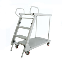 Chariot de sélection de commande mobile d'entrepôt et de supermarché Chariot à escabeau en métal à double plate-forme