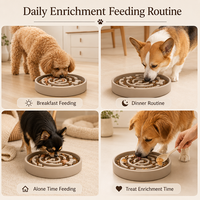 Bol d'enrichissement pour chien, mangeoire lente pour chiens rapides, anti-étouffement, stimulation mentale, puzzle d'alimentation, apaisement et alimentation saine