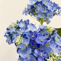Hydrangea pomme à 3 têtes - Longue durée (3 à 5 ans) - Décoration d'intérieur pour la remise des diplômes, la fête des pères et Halloween