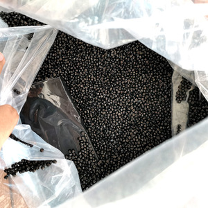 Niềm tin tùy chỉnh tập trung chủ hàng loạt sắc tố concentrationbrushed thổi Đúc Đen Nhựa Chủ hàng loạt - Product Image 3