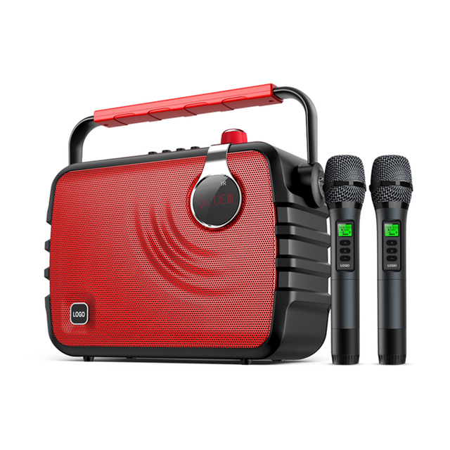 Karaoke Speaker with 2 UHF Wireless Microphones, Portable Bluetooth Speaker System for Home Party, Wedding, Church, Picnic