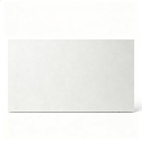 Dalle de pierre frittée en grès blanc 3 mm 1000x3000 mm finition texturée pour sol et mur