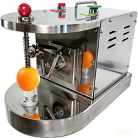 Automatische elektrische fruitenschiller van roestvrij staal 110V/220V Appel-sinaasappel-citroenschilmachine Commercieel