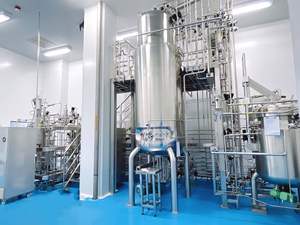 중국 생물 반응기 공급 업체 GMP 조류 생물 반응기 재배 200L 기계 교반 생물 반응기 BLBIO 200SJA - Product Image 5