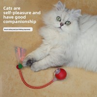 Jouet interactif d'intérieur pour chat avec queue élastique en filet et balle électrique automatique pour chiens, idéal pour rouler sur le tapis