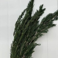 Fleurs décoratives de Noël en gros, cèdres et piniers naturels et préservés pour Noël