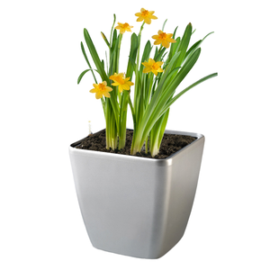 Jardinière auto-arrosante en plastique Duy Ngoc, mini pot de fleurs carré en plastique pour salon ou chambre, pour utilisation au sol, taille 13 - Product Image 1