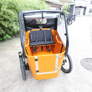 Tricycle électrique <span class=keywords><strong>cargo</strong></span> <span class=keywords><strong>danois</strong></span> à balançoire, batterie au lithium aluminium 36V 250W, moteur sans balais, porte-bagages arrière, vélo <span class=keywords><strong>cargo</strong></span> électrique familial - Product Image 5