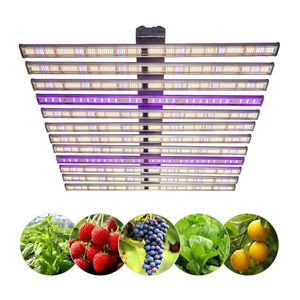 Lámpara de Cultivo LED para Interiores Samsung 301B, 1060W, Regulable, Espectro Completo UV IR, para Crecimiento de Plantas Hidropónicas - Product Image 2