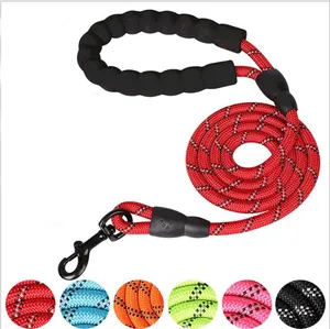 5FT nylon durable strong reflective rope dog leash with foam handle and metal part