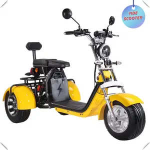 2020 New 3-Wheel 4000W Electro Adult Electric Mobility Scooter