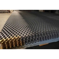 Grillage soudé en acier inoxydable expansé robuste à prix d'usine pour filtres de construction