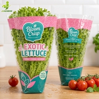 Sacs d'emballage pour légumes frais, transparents, en forme de cône, respirants, micro-perforés, avec logo imprimé personnalisé