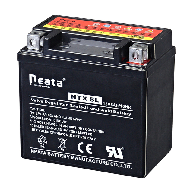 Motor Start Power Batteries 12V 5Ah AGM Sealed Maintenance Free Lead Acid Battery YTX5L-BS