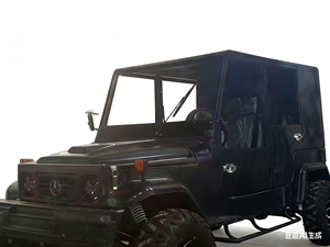 Nuevo Diseño de Jeep Todoterreno Eléctrico y de Combustible, Mini Jeep de 4 Ruedas, Jeep de Gasolina en Venta - Product Image 6