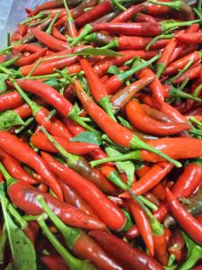 พริกสดแช่แข็งแบบ IQF พริกแดงเผ็ดร้อน วัตถุดิบอาหารปรุงรส รสชาติเผ็ด ตามมาตรฐานส่งออกเวียดนาม - Product Image 4