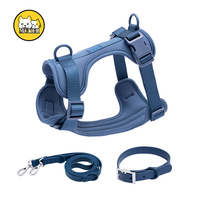 Arnés para Perro de Poliéster Suave de la Marca MK, Ajustable, Moderno e Impermeable, con Correa y Decoración de Cintas Coloridas, Venta al Por Mayor