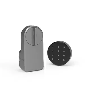 Fechadura eletrônica inteligente com Tuya Ttlock App Card Bluetooth Entrada Fechadura inteligente para portão Porta de vidro de alumínio