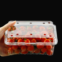 Boîte d'emballage en plastique transparente pour fruits, 125g, 250g, 500g, pour fruits, baies, fraises, myrtilles, conteneur à clapet avec trous
