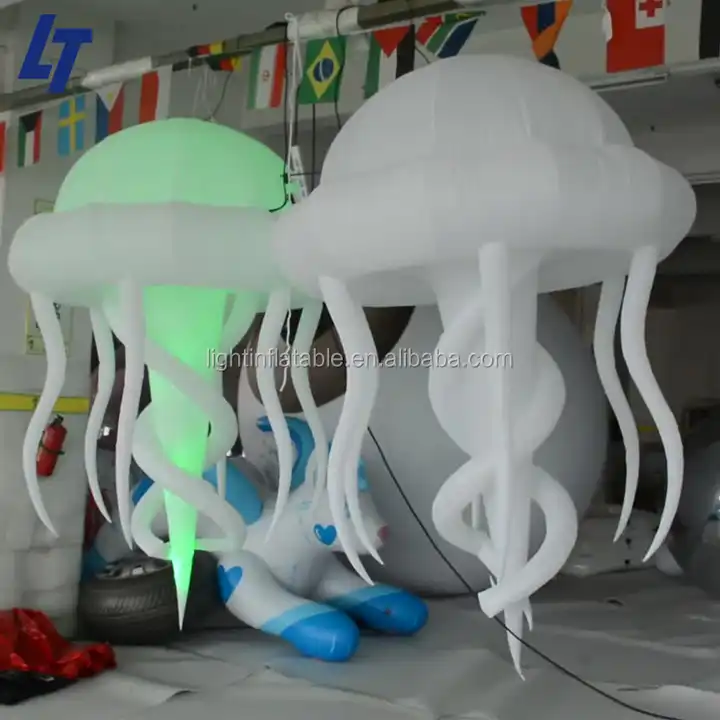 Parade Decor Inflatable Jellyfish Costume Walking Puppet Octopus Medusa  Costume - China Inflatable Jellyfish Costume and Inflatable Medusa Costume  price