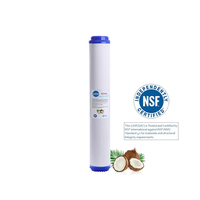 Boîtier de filtre mince en coque de noix de coco, charbon actif granulaire catalytique GAC 20x2.5 pour systèmes RO