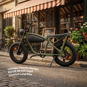 Nouveau Design OEM Vélo Électrique Cruiser Vintage Cafe Racer avec Batterie Lithium Tubulaire 48V, Longue Autonomie, pour Neige et Plage, Chopper Fat - Product Image 1