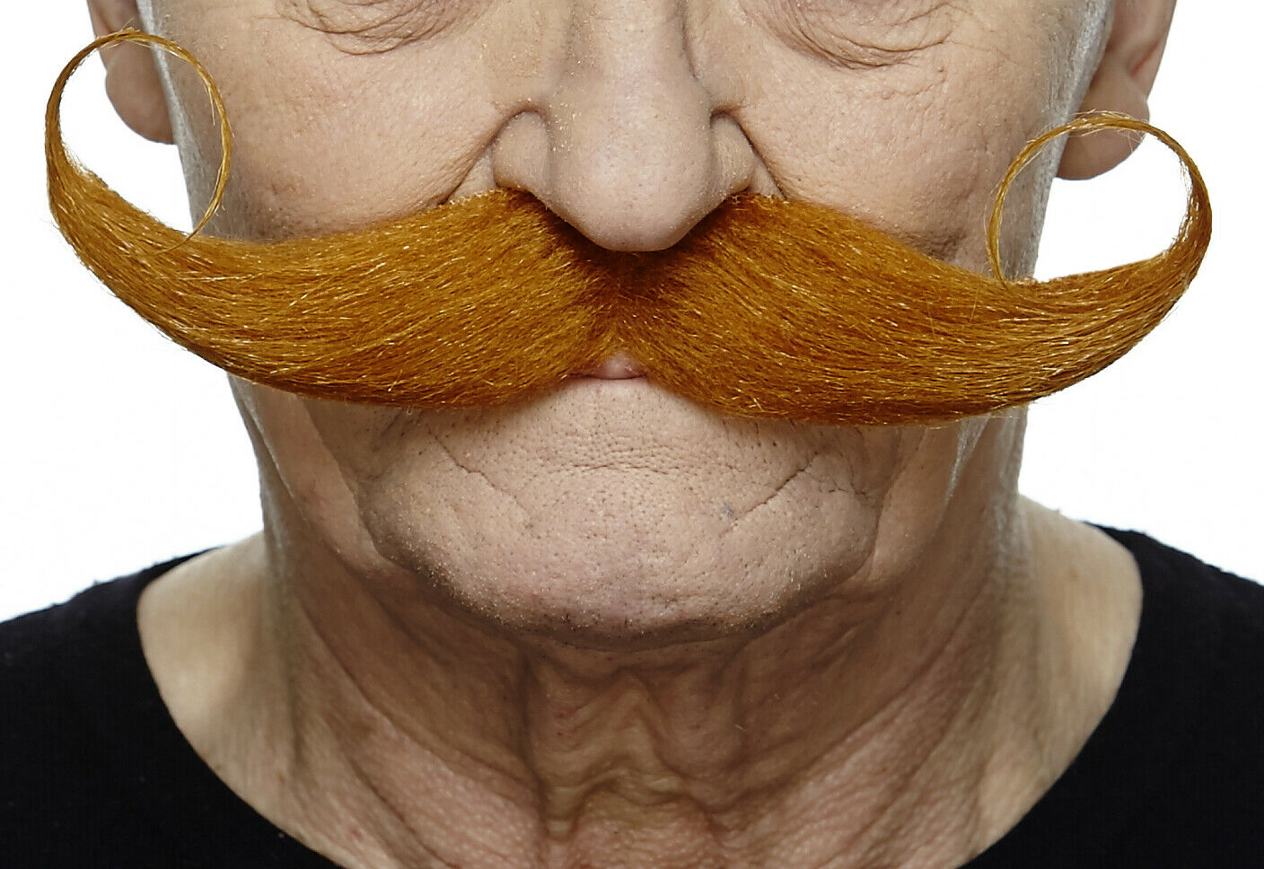 Ginger