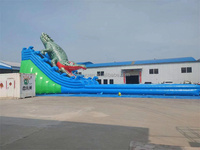 Toboggans gonflables géants pour adultes, toboggans pour enfants, toboggans pour parc aquatique, toboggans gonflables en forme de requin