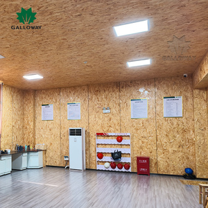 Panneau structurel <span class=keywords><strong>OSB</strong></span> 3 de 18 mm 8x4, directement de l'usine, panneau <span class=keywords><strong>OSB</strong></span> EPS en aggloméré pour toiture, revêtement de sol, <span class=keywords><strong>bardage</strong></span> et revêtement mural - Product Image 2