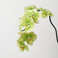 Orchidées papillon en latex de luxe de haute qualité LY, nouveau design, toucher réaliste, orchidée Phalaenopsis réaliste, décoration de Pâques, de mariage et de maison