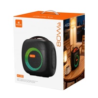 Haut-parleur portable d'extérieur avec connexion sans fil et éclairage RGB