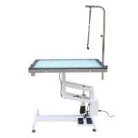 Table de toilettage professionnelle pour animaux de compagnie en acier inoxydable, pliable, électrique, avec fonction de levage et de coupe, design LED