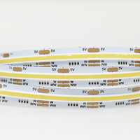 Tunable New Dam Type FCOB CCT Linear Strip Light Natural White DC5V 320LEDs/m 320W + 320WW W/WW/NW Bande étanche de haute qualité