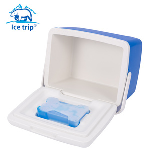 8L Tươi Giữ Cách Nhiệt <span class=keywords><strong>Ice</strong></span> Box <span class=keywords><strong>Cooler</strong></span> <span class=keywords><strong>Picnic</strong></span> Thực Phẩm Nhiệt <span class=keywords><strong>Container</strong></span> Lạnh Câu Cá <span class=keywords><strong>Cooler</strong></span> Box Cho Du Lịch - Product Image 3