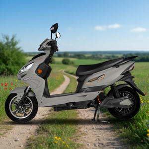 एलईडी मीटर रिवर्स गियर और यूएसबी के साथ उच्च प्रदर्शन वयस्क इलेक्ट्रिक स्कूटर - Product Image 1