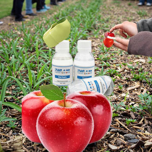 Suda Çözünen Sıvı Aromalı Meyve Suyu Elma Suyu Aroması Çok Satan - Product Image 4