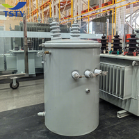 Transformador Eléctrico Monofásico de Aceite TSTY de 75 kVA, Transformador de Montaje en Poste de 100 kVA