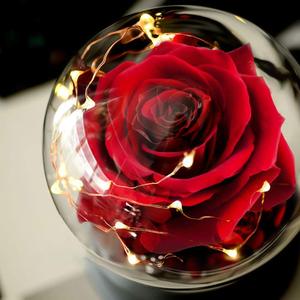 Rosa Eterna con Luce LED Ricaricabile USB, Idea Regalo per <span class=keywords><strong>San</strong></span> <span class=keywords><strong>Valentino</strong></span>, Matrimonio, Anniversario, Natale, Festa della Mamma, 5cm - Product Image 3