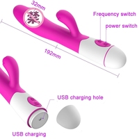 JoyPark Vibrateur en silicone 100 % étanche, rechargeable par USB, avec bandage prothétique en forme de lapin, stimulateur clitoridien 30 modes