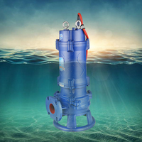 Pompe de couture centrifuge, pompe de canalisations submersible avec meuleuse