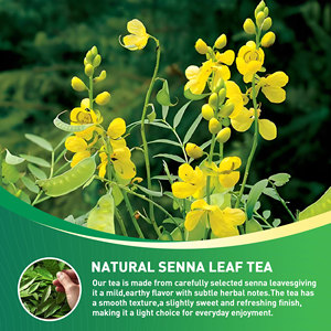 Bolsitas de Té de Senna Natural, Limpieza de Colon, Suplemento de Té de Hoja de Senna para Adelgazar y Perder Peso, Vientre Plano - Product Image 2