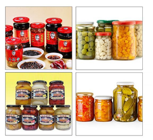 Máquina Tapadora de Vacío Semiautomática Motorizada de Alta Precisión TCS-160 de Acero Inoxidable para Botellas de Vidrio y Latas, 1 Año de Garantía - Product Image 3