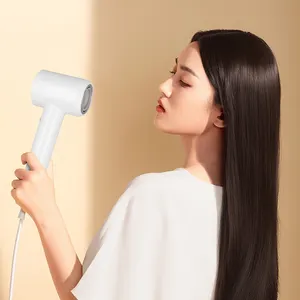 2024 Hot Sells High Speed Light Negative Professional Ionic Hair Dryer1600W Dryers Negative Ion Hair Blow Dryer