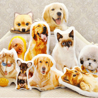 Oreiller personnalisé double face pour animaux de compagnie, coussin en forme 3D, à faire soi-même