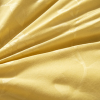 Couette en soie été hiver couette reine taille double literie en soie chinoise couette insérer couette couverture pondérée couette